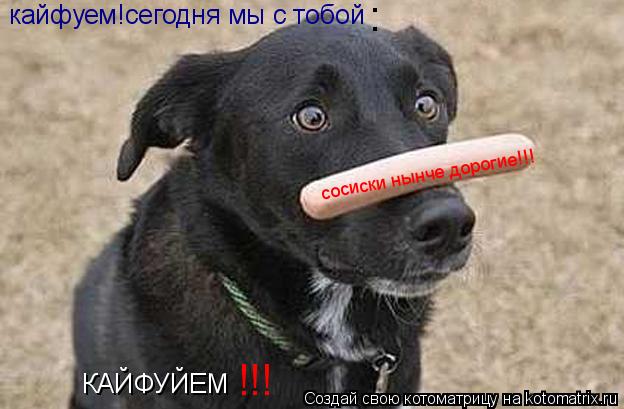 кайфуем!сегодня мы с тобой КАЙФУЙЕМ !!! : сосиски нынче дорогие!!!... Котоматрица: кайфуем!сегодня мы с тобой КАЙФУЙЕМ !!! : сосиски нынче дорогие!!!