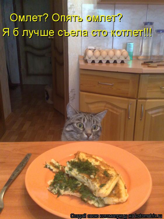 Омлет? Опять омлет? Я б лучше съела сто котлет!!!... Котоматрица: Омлет? Опять омлет? Я б лучше съела сто котлет!!!