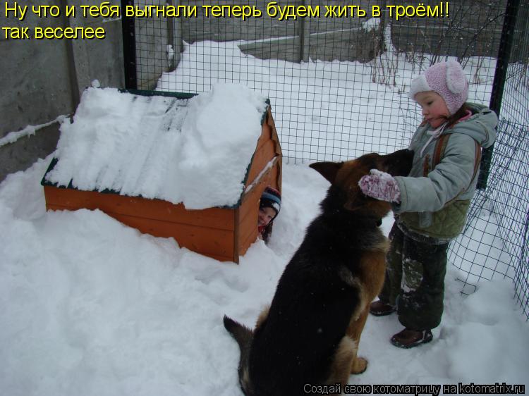 Ну что и тебя выгнали теперь будем жить в троём!! так веселее... Котоматрица: Ну что и тебя выгнали теперь будем жить в троём!! так веселее