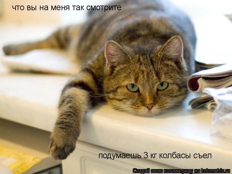 что вы на меня так смотрите подумаешь 3 кг колбасы съел... Котоматрица: что вы на меня так смотрите подумаешь 3 кг колбасы съел