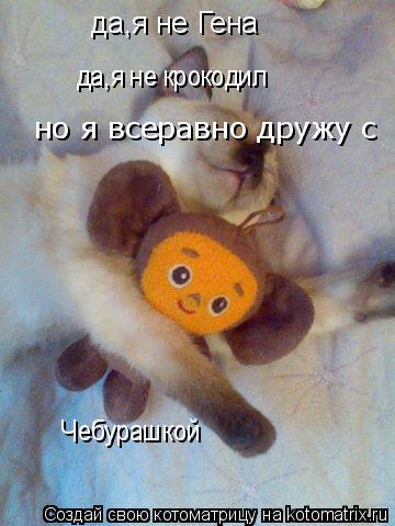 да,я не Гена да,я не крокодил но я всеравно дружу с Ч ебурашкой... Котоматрица: да,я не Гена да,я не крокодил но я всеравно дружу с Ч ебурашкой