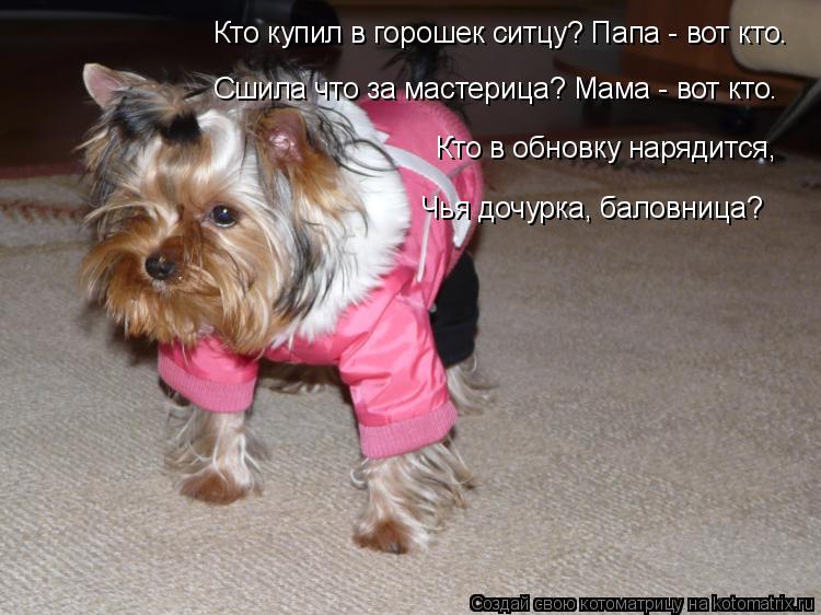 Кто купил в горошек ситцу? Папа - вот кто. Сшила что за мастерица? Мама - вот кто. Кто в обновку наря... Котоматрица: Кто купил в горошек ситцу? Папа - вот кто. Сшила что за мастерица? Мама - вот кто. Кто в обновку нарядится, Чья дочурка, баловница?