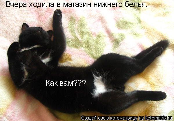 Вчера ходила в магазин нижнего белья. Как вам???... Котоматрица: Вчера ходила в магазин нижнего белья. Как вам???