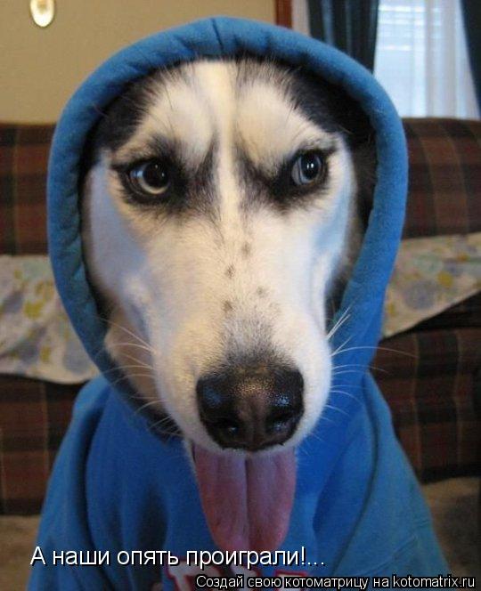 А наши опять проиграли!...... Котоматрица: А наши опять проиграли!...