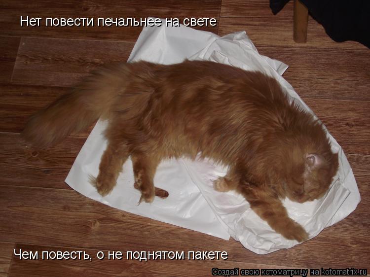 Котоматрица: Нет повести печальнее на свете Чем повесть, о не поднятом пакете