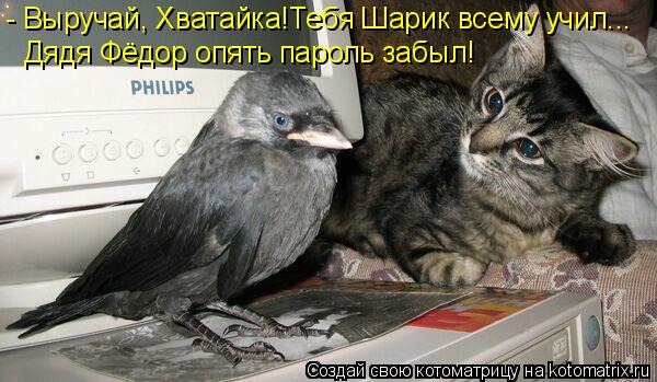 Дядя Фёдор опять пароль забыл! - Выручай, Хватайка!Тебя Шарик всему учил...... Котоматрица: Дядя Фёдор опять пароль забыл! - Выручай, Хватайка!Тебя Шарик всему учил...