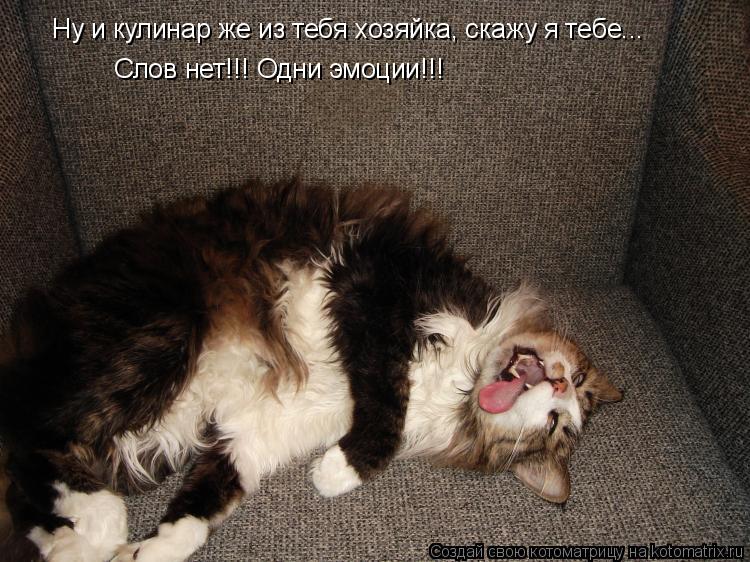 Котоматрица: Ну и кулинар же из тебя хозяйка, скажу я тебе... Слов нет!!! Одни эмоции!!!