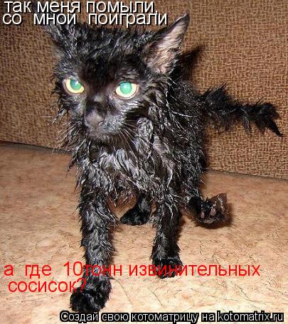 Котоматрица: так меня помыли, со  мной  поиграли а  где  10тонн извинительных   сосисок?