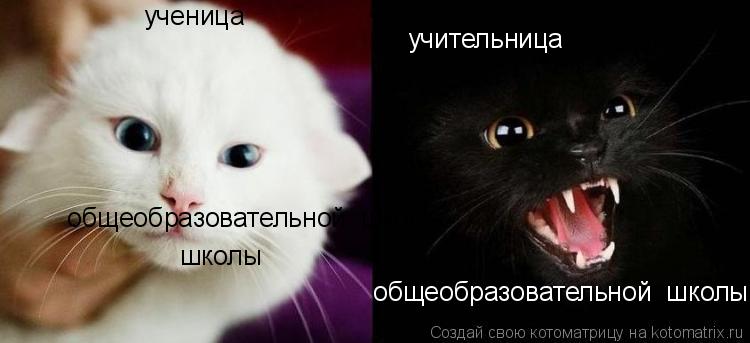 Котоматрица: учительница  общеобразовательной  школы   ученица   общеобразовательной  школы  школы
