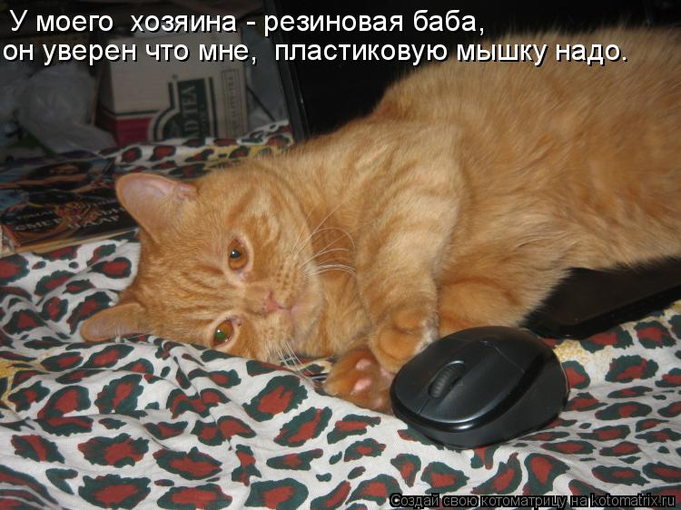 Котоматрица: У моего  хозяина - резиновая баба,  он уверен что мне,  пластиковую мышку надо.