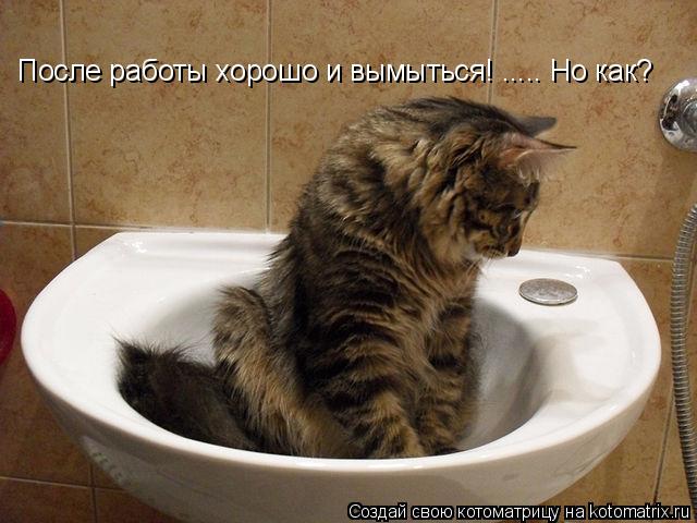 Котоматрица: После работы хорошо и вымыться!  После работы хорошо и вымыться! ..... Но как?
