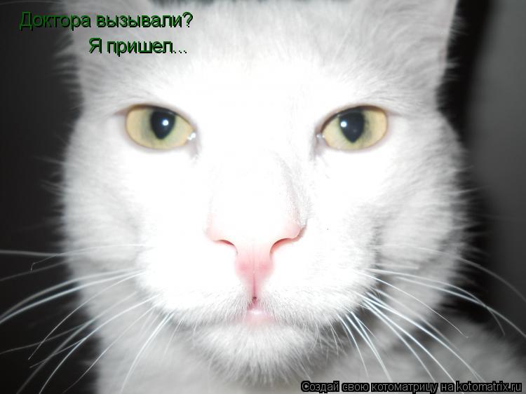 Котоматрица: Доктора вызывали? Я пришел...