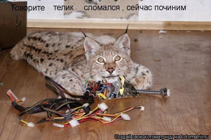 Котоматрица: Говорите телик  сломался , сейчас починим