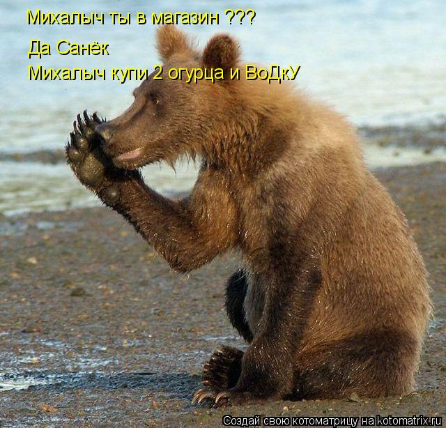 Котоматрица: Михалыч ты в магазин ??? Да Санёк Михалыч купи 2 огурца и ВоДкУ