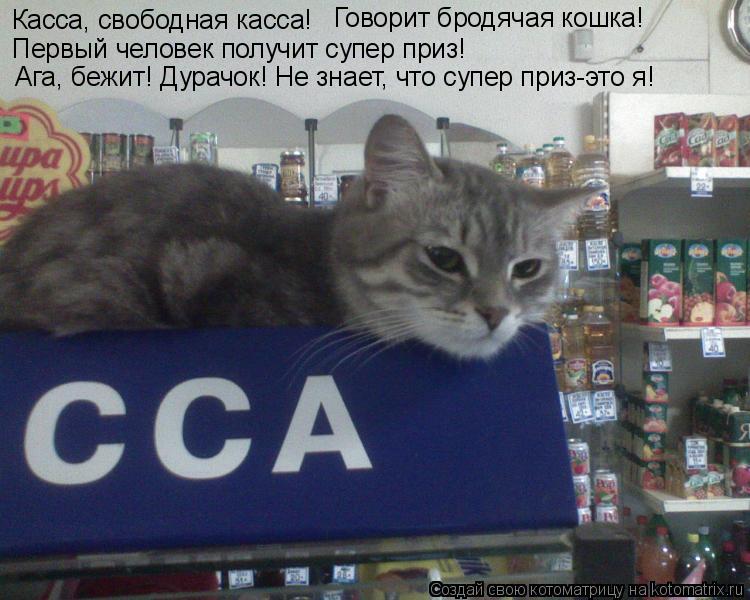 Котоматрица: Касса, свободная касса! Первый человек получит супер приз! Ага, бежит! Дурачок! Не знает, что супер приз-это я! Говорит бродячая кошка!