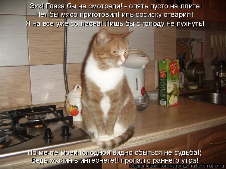 Котоматрица: Эхх! Глаза бы не смотрели! - опять пусто на плите! Нет бы мясо приготовил! иль сосиску отварил! Я на все уже согласна! Лишь бы с голоду не пухну