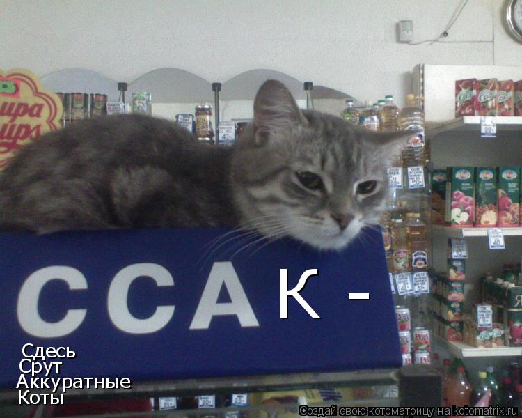 Котоматрица: К - Сдесь Срут Аккуратные  Коты