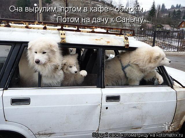 Котоматрица: Сча вырулим, потом в кафе - обмоем Потом на дачу к Санычу...