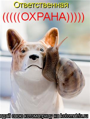 Котоматрица: Ответственная (((((ОХРАНА)))))