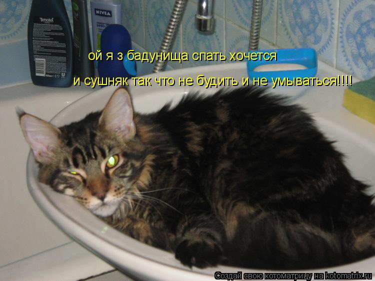 Котоматрица: ой я з бадунища спать хочется  и сушняк так что не будить и не умываться!!!!