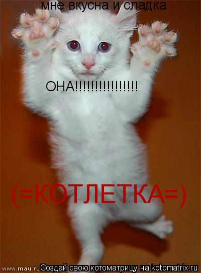 Котоматрица: мне вкусна и сладка ОНА!!!!!!!!!!!!!!!! (=КОТЛЕТКА=)