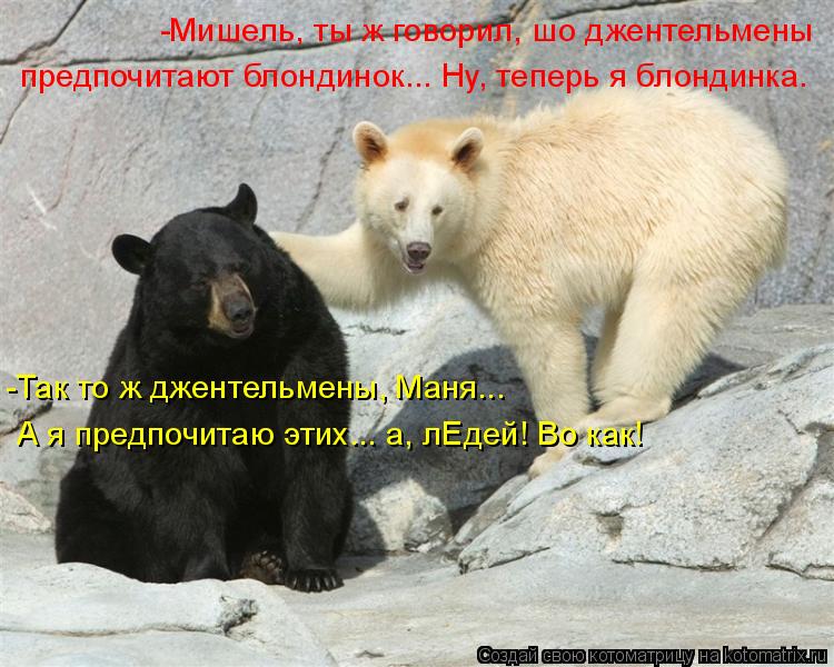 Котоматрица: -Мишель, ты ж говорил, шо джентельмены предпочитают блондинок... Ну, теперь я блондинка. -Так то ж джентельмены, Маня... А я предпочитаю этих... а