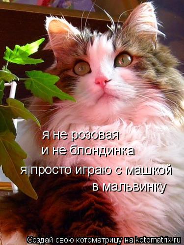я не розовая и не блондинка я просто играю с машкой в мальвинку... Котоматрица: я не розовая и не блондинка я просто играю с машкой в мальвинку