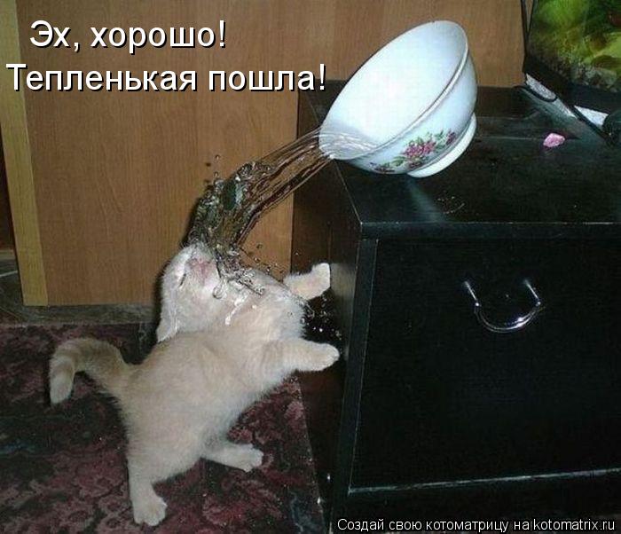 Эх, хорошо! Тепленькая пошла!... Котоматрица: Эх, хорошо! Тепленькая пошла!