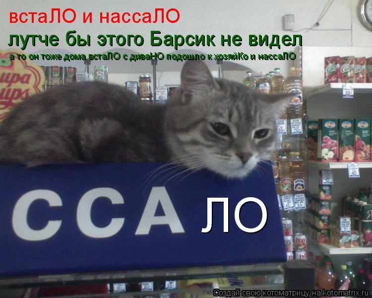 ЛО встаЛО и нассаЛО лутче бы этого Барсик не видел а то он тоже дома встаЛО с диваНО подошло к хозяйК... Котоматрица: ЛО встаЛО и нассаЛО лутче бы этого Барсик не видел а то он тоже дома встаЛО с диваНО подошло к хозяйКо и нассаЛО