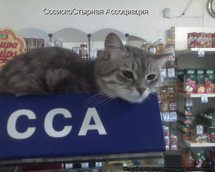СосискоСтырная Ассоциация... Котоматрица: СосискоСтырная Ассоциация