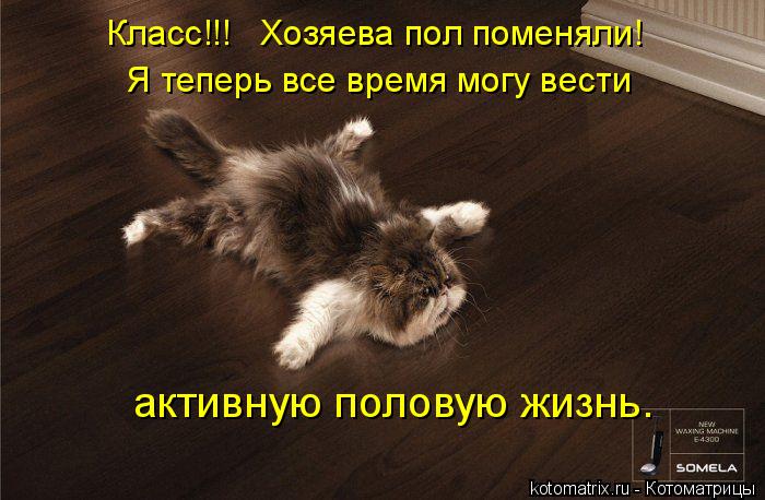 Класс!!! Хозяева пол поменяли! Я теперь все время могу вести активную половую жизнь.... Котоматрица: Класс!!! Хозяева пол поменяли! Я теперь все время могу вести активную половую жизнь.