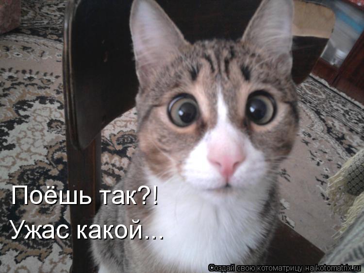 Поёшь так?! Ужас какой...... Котоматрица: Поёшь так?! Ужас какой...