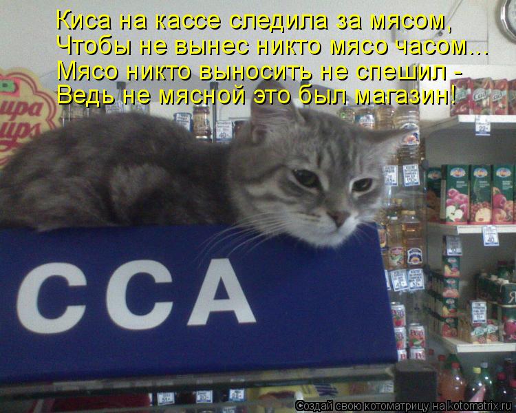 Киса на кассе следила за мясом, Чтобы не вынес никто мясо часом... Мясо никто выносить не спешил - В... Котоматрица: Киса на кассе следила за мясом, Чтобы не вынес никто мясо часом... Мясо никто выносить не спешил - Ведь не мясной это был магазин!