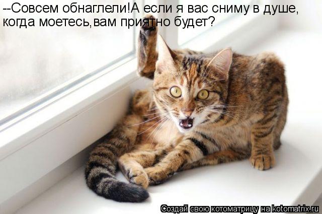 --Совсем обнаглели!А если я вас сниму в душе, когда моетесь,вам приятно будет?... Котоматрица: --Совсем обнаглели!А если я вас сниму в душе, когда моетесь,вам приятно будет?