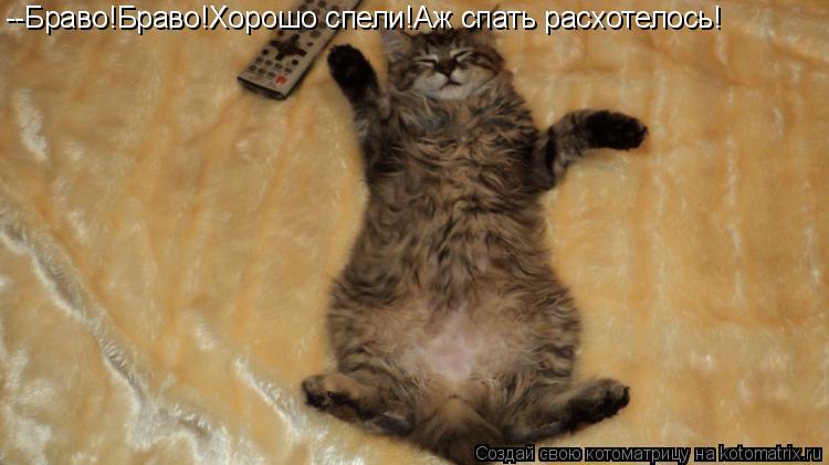 --Браво!Браво!Хорошо спели!Аж спать расхотелось!... Котоматрица: --Браво!Браво!Хорошо спели!Аж спать расхотелось!