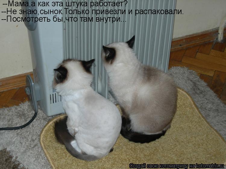 --Мама,а как эта штука работает? --Не знаю,сынок.Только привезли и распаковали. --Посмотреть бы,что т... Котоматрица: --Мама,а как эта штука работает? --Не знаю,сынок.Только привезли и распаковали. --Посмотреть бы,что там внутри...