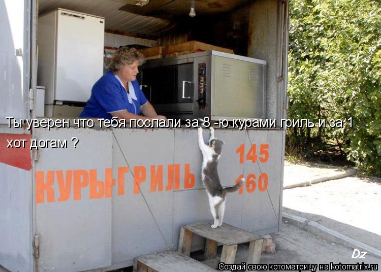 Ты уверен что тебя послали за 8 -ю курами гриль и за 1 хот догам ?... Котоматрица: Ты уверен что тебя послали за 8 -ю курами гриль и за 1 хот догам ?