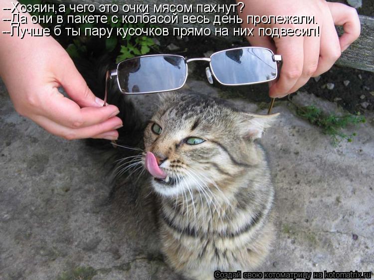 --Хозяин,а чего это очки мясом пахнут? --Да они в пакете с колбасой весь день пролежали. --Лучше б ты... Котоматрица: --Хозяин,а чего это очки мясом пахнут? --Да они в пакете с колбасой весь день пролежали. --Лучше б ты пару кусочков прямо на них подвесил!