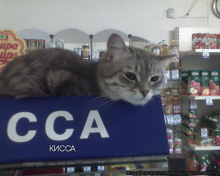 КИССА... Котоматрица: КИССА