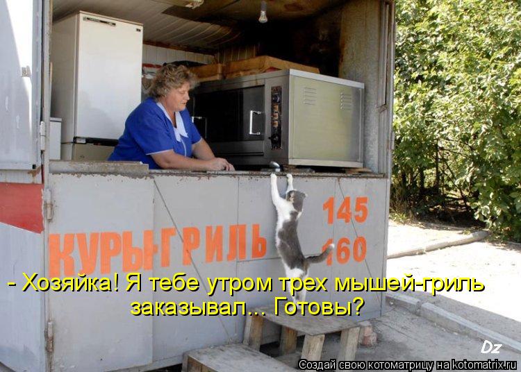 - Хозяйка! Я тебе утром трех мышей-гриль заказывал... Готовы?... Котоматрица: - Хозяйка! Я тебе утром трех мышей-гриль заказывал... Готовы?