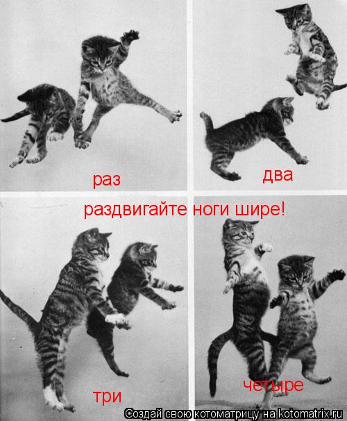 раз два три четыре раздвигайте ноги шире!... Котоматрица: раз два три четыре раздвигайте ноги шире!