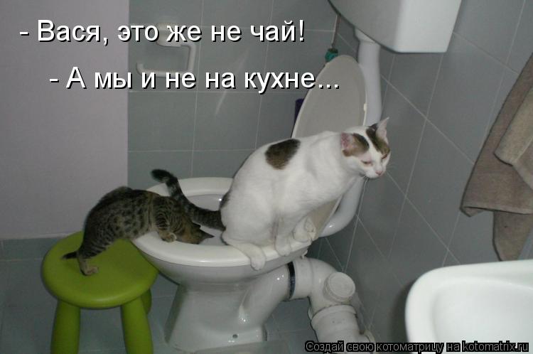 - Вася, это же не чай! - А мы и не на кухне...... Котоматрица: - Вася, это же не чай! - А мы и не на кухне...