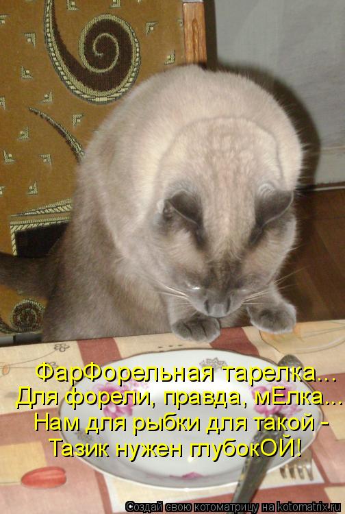 ФарФорельная тарелка... Для форели, правда, мЕлка... Нам для рыбки для такой - Тазик нужен глубокОЙ!... Котоматрица: ФарФорельная тарелка... Для форели, правда, мЕлка... Нам для рыбки для такой - Тазик нужен глубокОЙ!