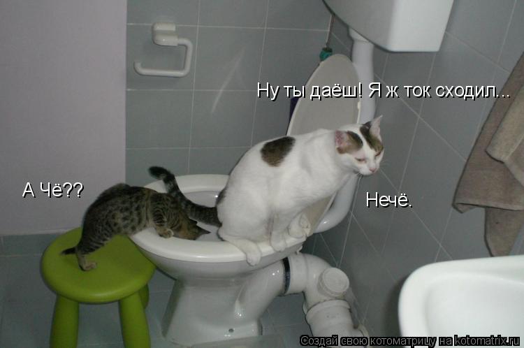Ну ты даёш! Я ж ток сходил... А Чё?? Нечё.... Котоматрица: Ну ты даёш! Я ж ток сходил... А Чё?? Нечё.