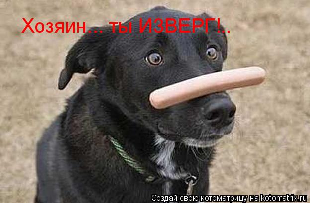 Хозяин... ты ИЗВЕРГ!..... Котоматрица: Хозяин... ты ИЗВЕРГ!..