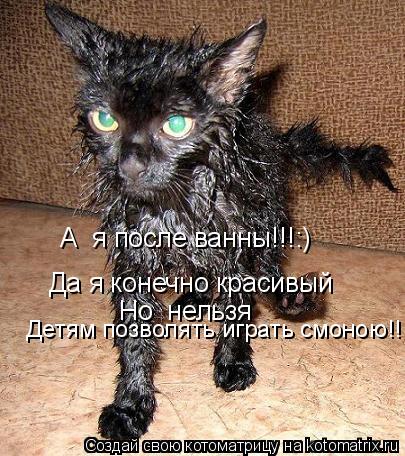 А я после ванны!!!:) Да я конечно красивый Но нельзя Детям позволять играть смоною!!!... Котоматрица: А я после ванны!!!:) Да я конечно красивый Но нельзя Детям позволять играть смоною!!!