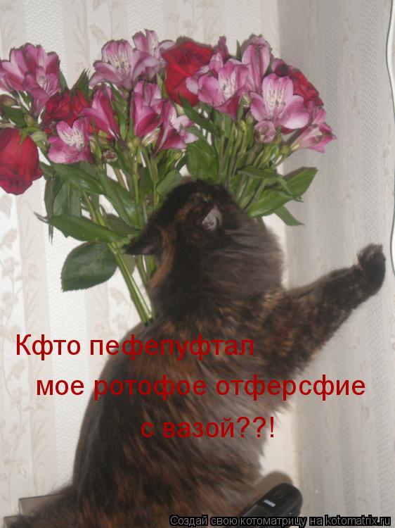 Кфто пефепуфтал мое ротофое отферсфие с вазой??!... Котоматрица: Кфто пефепуфтал мое ротофое отферсфие с вазой??!