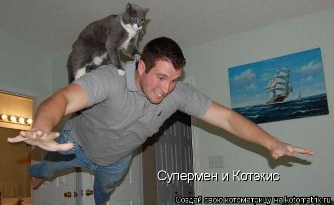Супермен и Котэкис... Котоматрица: Супермен и Котэкис