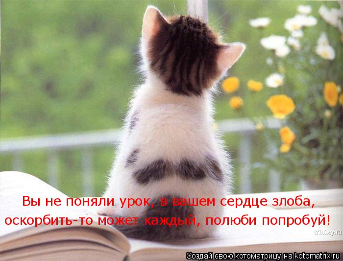 Вы не поняли урок, в вашем сердце злоба, оскорбить-то может каждый, полюби попробуй!... Котоматрица: Вы не поняли урок, в вашем сердце злоба, оскорбить-то может каждый, полюби попробуй!