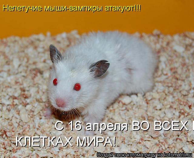 Нелетучие мыши-вампиры атакуют!!! С 16 апреля ВО ВСЕХ КЛЕТКАХ МИРА! КЛЕТКАХ МИРА!... Котоматрица: Нелетучие мыши-вампиры атакуют!!! С 16 апреля ВО ВСЕХ КЛЕТКАХ МИРА! КЛЕТКАХ МИРА!